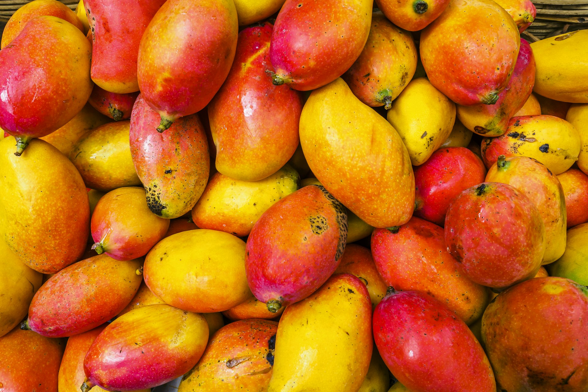 Mango banner 3
